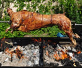 Lamb on the spit